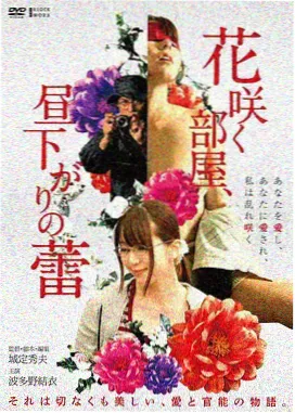 灰阶档案 电影封面